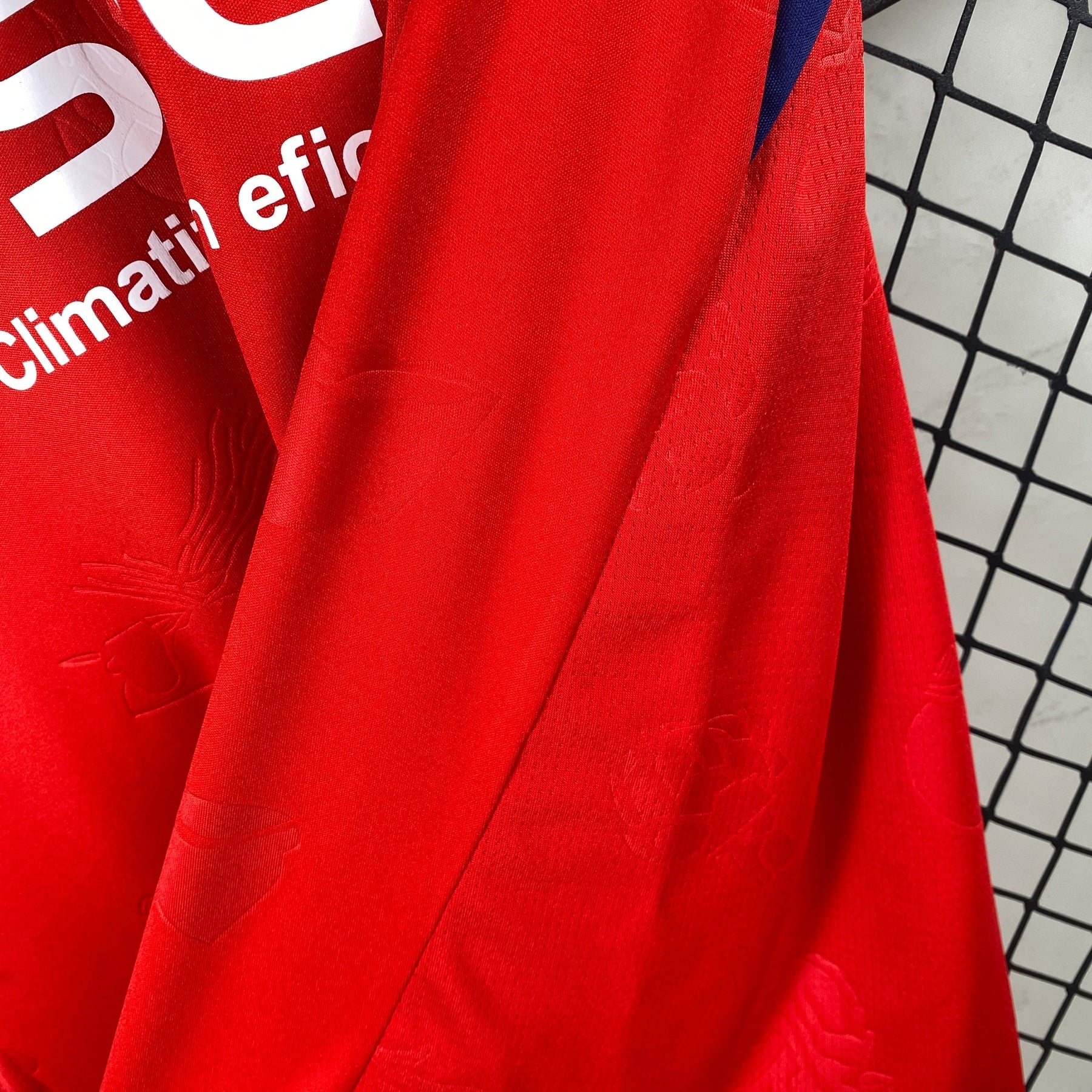 Camiseta do Osasuna 24/25 Home - foto principal
