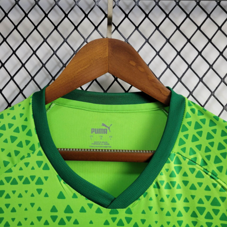 Camiseta 24∕25 Palmeiras Treino - vista trasera