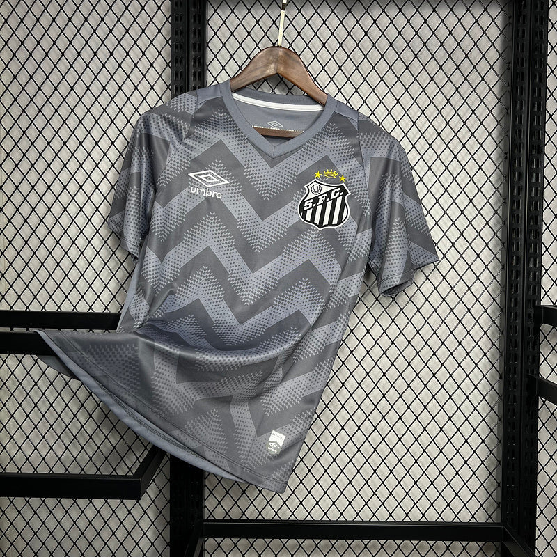 Camiseta 24∕25 Santos Treino Cinza - detalle de la manga