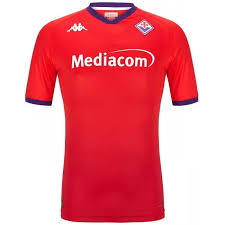 Camiseta Feminina Fiorentina 24/25 Third - foto principal