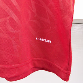 Camiseta 24/25  Real Madrid Red Special - tejido y acabado