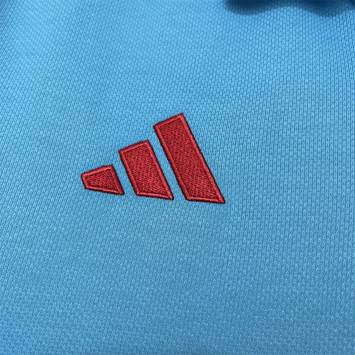 Camiseta Flamengo 25/26 - Polo Azul - vista trasera
