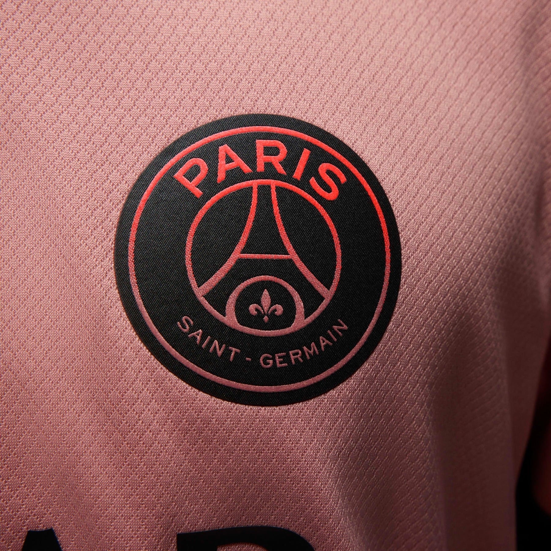 Camiseta Feminina PSG 24/25 Third - vista trasera