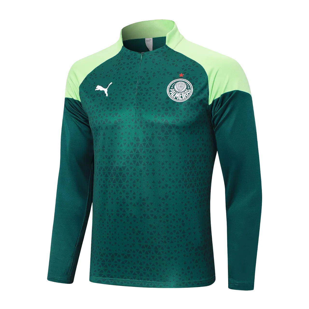 Set Outerwear TrainingPalmeiras 24/25 - Verde - vista trasera
