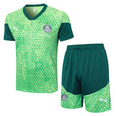 Set Palmeiras Training24/25 - Verde - foto principal