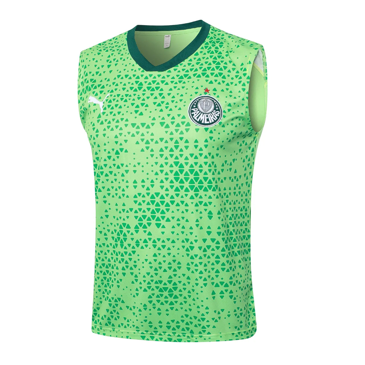Set Palmeiras TrainingRegata 24/25 - Verde - vista trasera