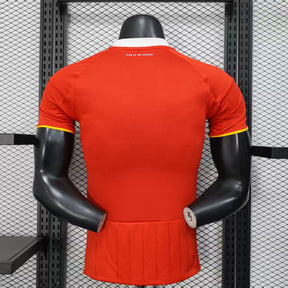 Camiseta Al Ahly 25/26 Player Home - detalle de la manga