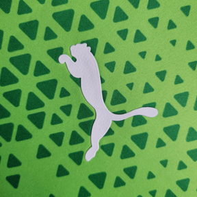 Camiseta 24∕25 Palmeiras Treino - detalle de la manga