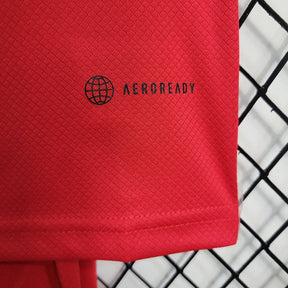 Kids Flamengo Treino 2023∕24 Vermelho - detalle de la manga