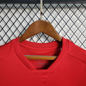 Camiseta 23∕24 Flamengo Treino - Femenino - Vermelho - tejido y acabado