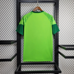 Camiseta 24∕25 Palmeiras Treino - vista frontal