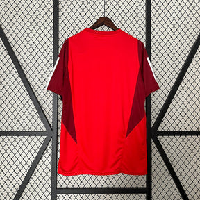 Camiseta 24∕25 Internacional Training Wear Red - vista frontal